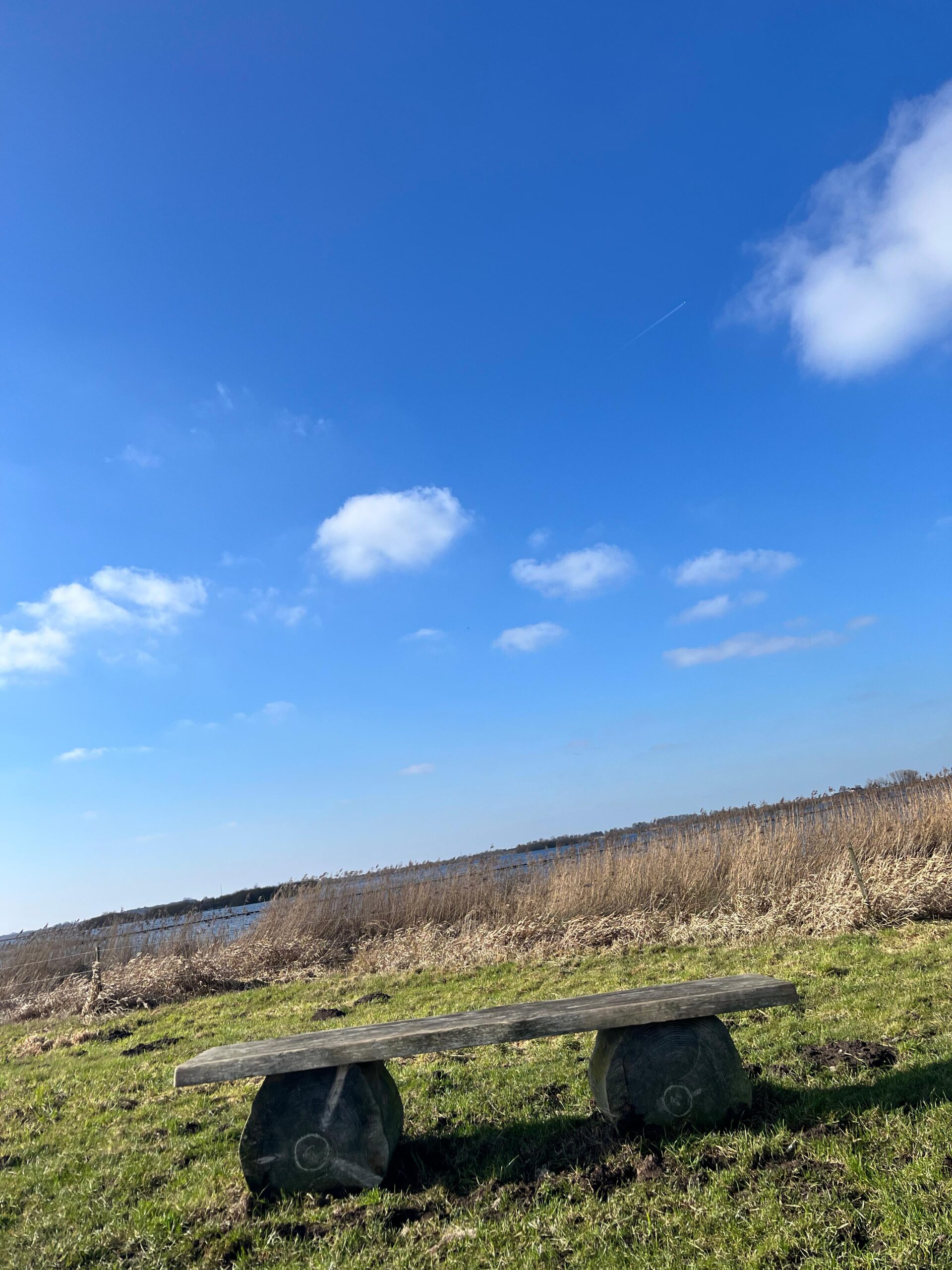 Puur Agnes - Verliesbegeleiding