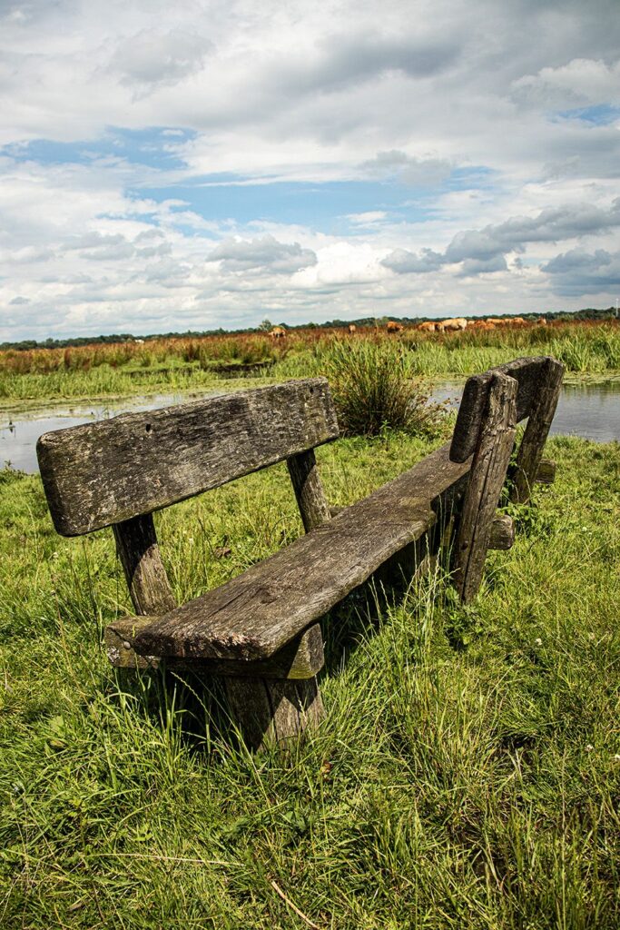 Een houten bankje in het gras in de natuur