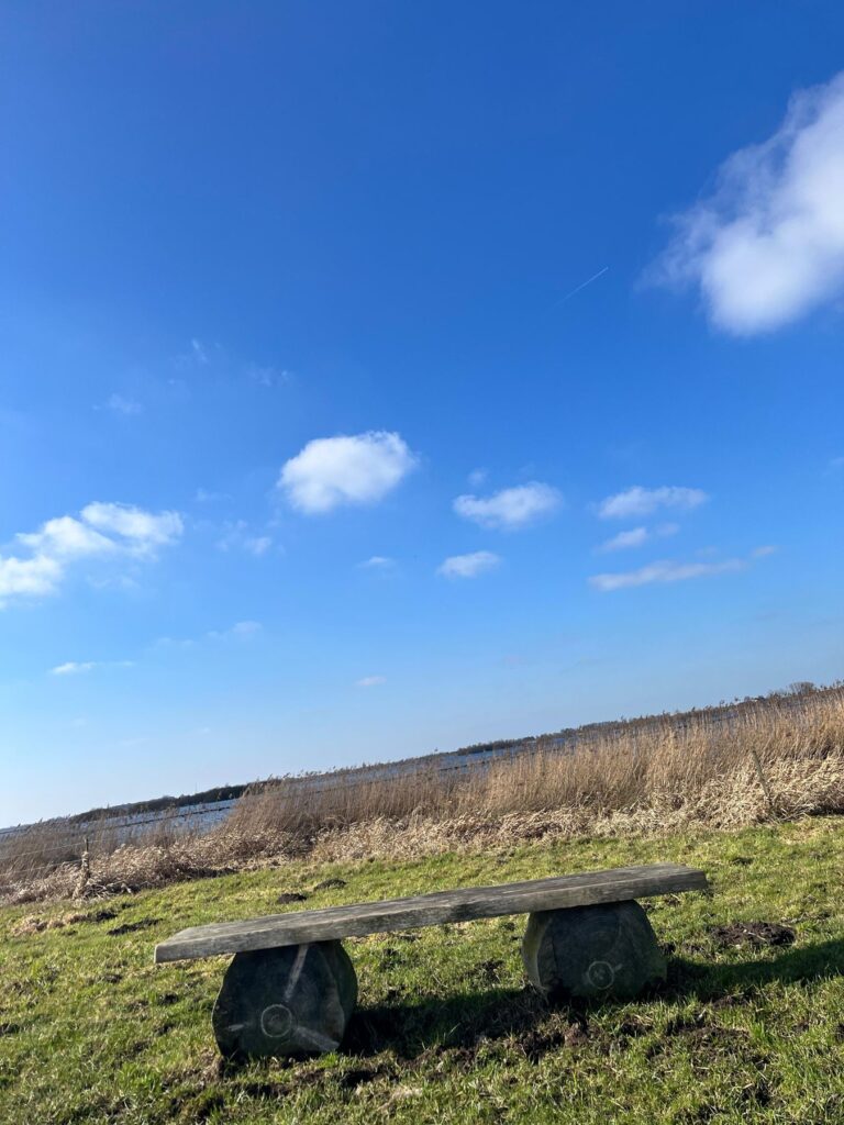 Bankje in natuurgebied ’t Roegwold